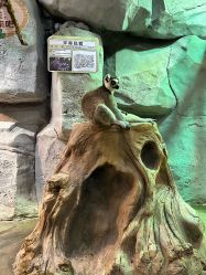-Zoolung Zoolung动物主题公园(海信广场店)