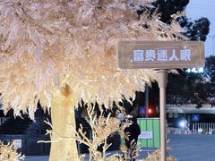 -万科生活广场(东莞松山湖店)