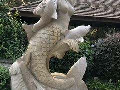 -天目湖涵田半山温泉
