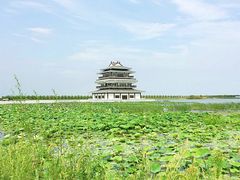 -呼兰河口湿地公园
