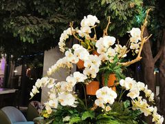 -上海虹桥西郊假日酒店