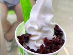-Salud撒露欧洲冻酸奶(北苑上品店)