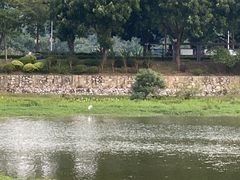 -风云岭森林公园