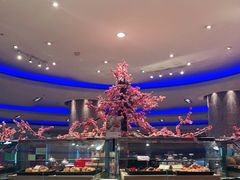 -北京中国大饭店