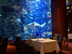 -迪拜帆船酒店海底餐厅