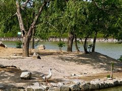 -盐城丹顶鹤湿地生态旅游区