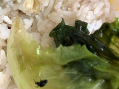 -都城快餐(都信店)