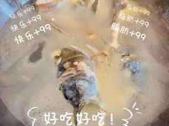 -小团圆灶台鱼·百城头牌菜(千岛湖店)