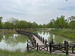 -泗洪洪泽湖湿地景区