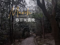 -风云岭森林公园