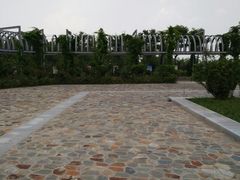 -南湖国家城市湿地公园
