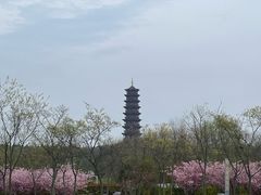 -江苏三台山国家森林公园