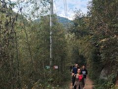 -莫干山风景区