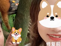 -上海市徐汇区口腔医院