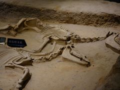 -洛阳周王城天子驾六博物馆