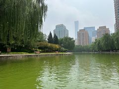 -团结湖公园