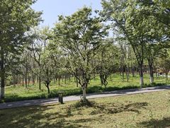 -昆山城市生态森林公园