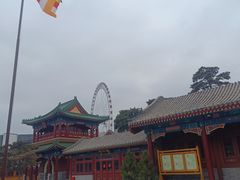 -天津大悲禅院