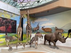 -陕西自然博物馆