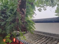 -星巴克(福州三坊七巷店)