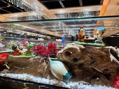 -红辣椒·川菜·火锅(张杨路店)