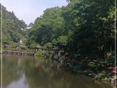 -南山植物园