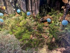 -湖南省地质博物馆