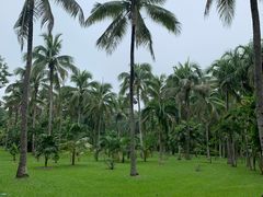 -中国科学院西双版纳热带植物园