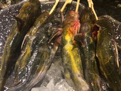 -王家渡火锅店(棕榈泉店)