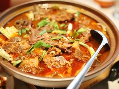 -杨氏青龙虾·羊蝎子(金盛路总店)