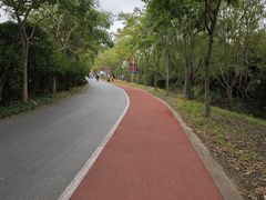 -上海长兴岛郊野公园