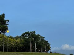 -深圳湾公园(南山区)