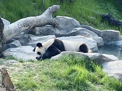 -宁波野生动物园