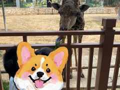 -北京野生动物园