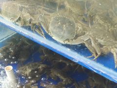 -阳澄湖大闸蟹·琼灵阁牌品牌连锁(吴中总店)