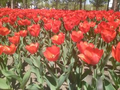 -长春公园(普阳街道)