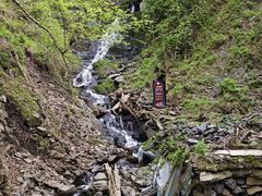-凤凰山国家森林公园