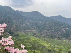 -篁岭景区