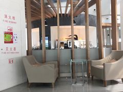 -虹桥机场国航贵宾室v8