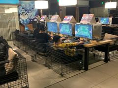 -网鱼电竞·棋牌(五一广场店)
