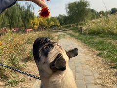 -绿堤公园