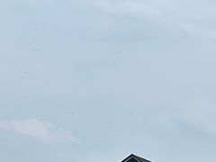 -南京老山国家森林公园