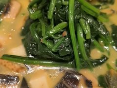 -甄御•海鲜新青岛菜(麦岛店)