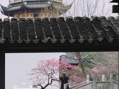 -红梅公园