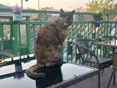 -EATALIA意塔利意式餐厅(鼓楼店)