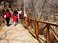 -大岭沟猕猴桃谷风景区