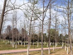 -汉长安城未央宫国家考古遗址公园