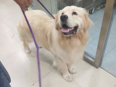 -宠福鑫康馨动物医院·骨科·眼科