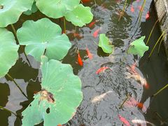 -绍兴大禹开元观堂-若耶厅