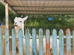 -云漫湖生态度假公园